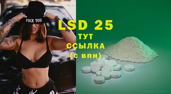 PSILOCYBIN Аркадак
