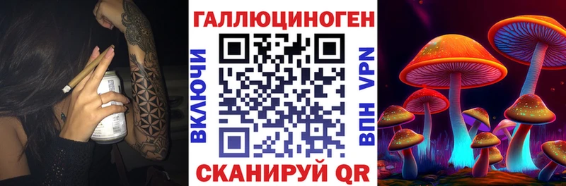Псилоцибиновые грибы Psilocybine cubensis  Купить где  Ужур 